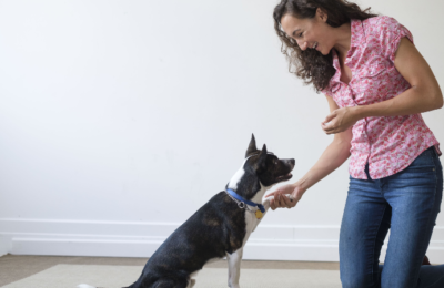 6 BEST TRAINING METHOD FOR YOUR DOG