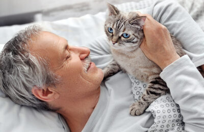 Benefits of Having Pet Cats for Your Emotional Wellness