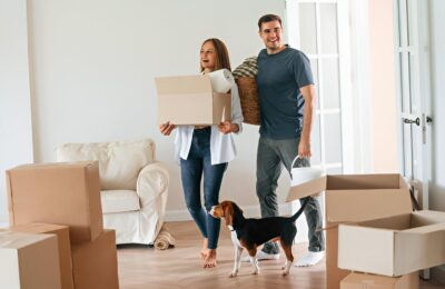 How to Plan the Big Move with Pets Without Stressing them